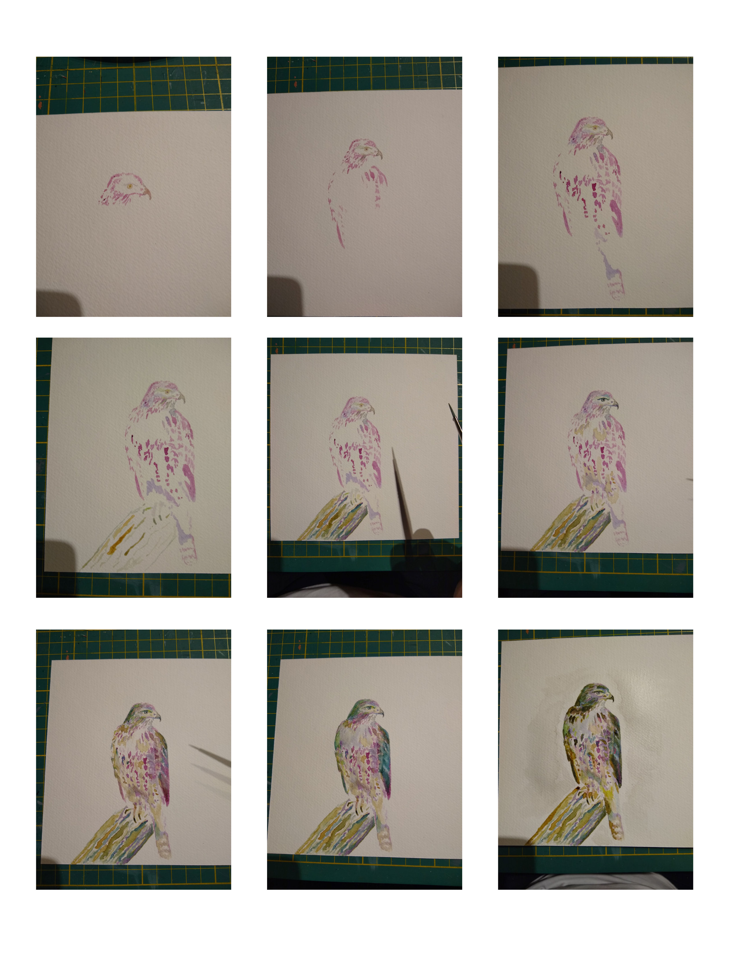 Hawk Painting in Progress