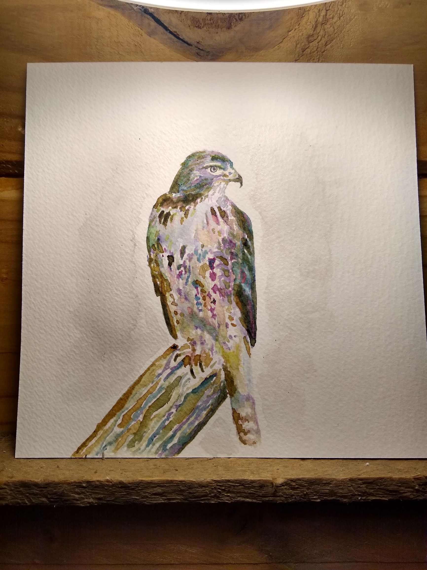 Hawk Painting on Desk